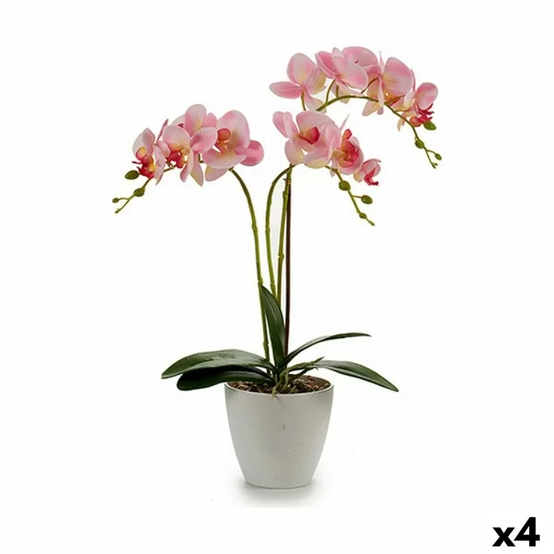 Decorative Plant Orchid Plastic 20 x 49 x 26 cm (4 Units)
