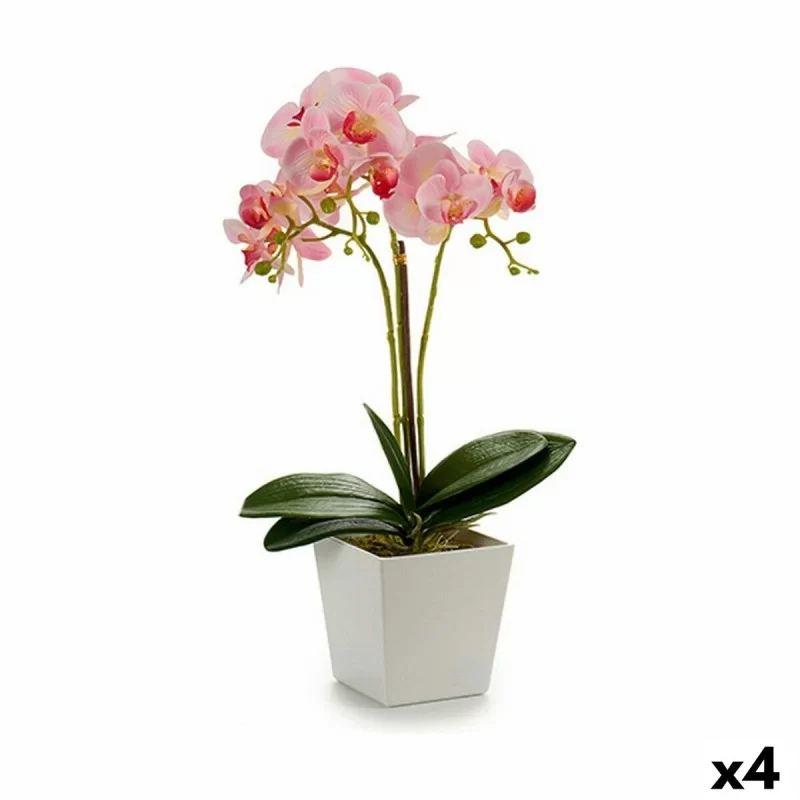 Decorative Plant Orchid 20 x 47 x 33 cm Plastic (4 Units)