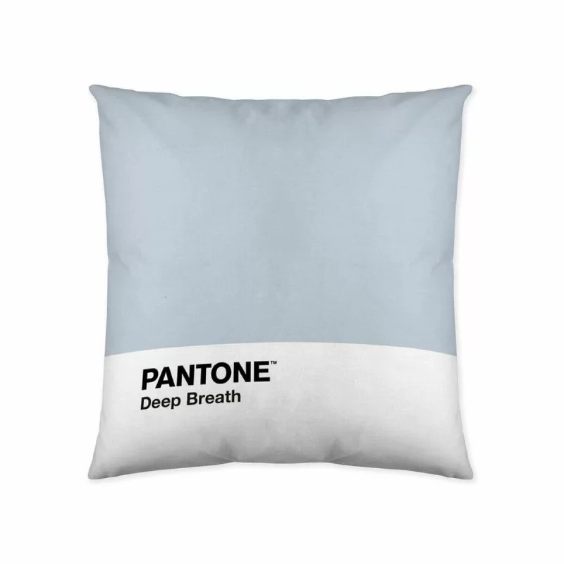 Cushion cover Deep Breath Pantone 63836304 50 x 50 cm