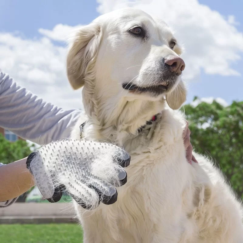 Pet Brush & Massage Glove Relpet InnovaGoods