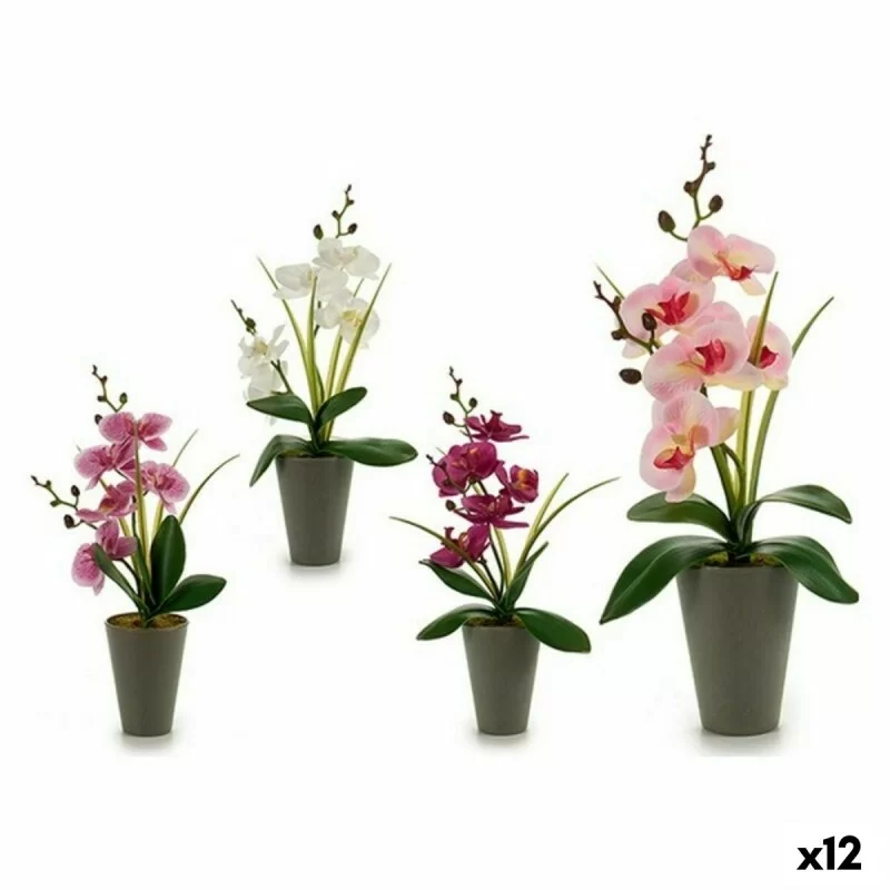 Decorative Plant Orchid Plastic 8 x 35 x 14 cm (12 Units)