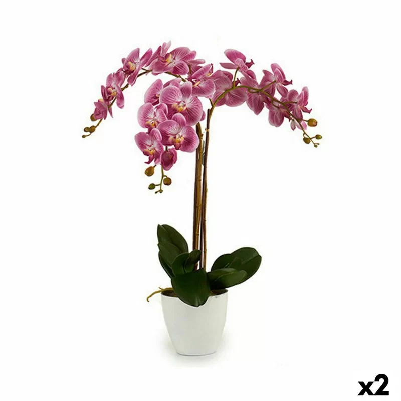 Decorative Plant Orchid Plastic 30 x 80 x 40 cm (2 Units)