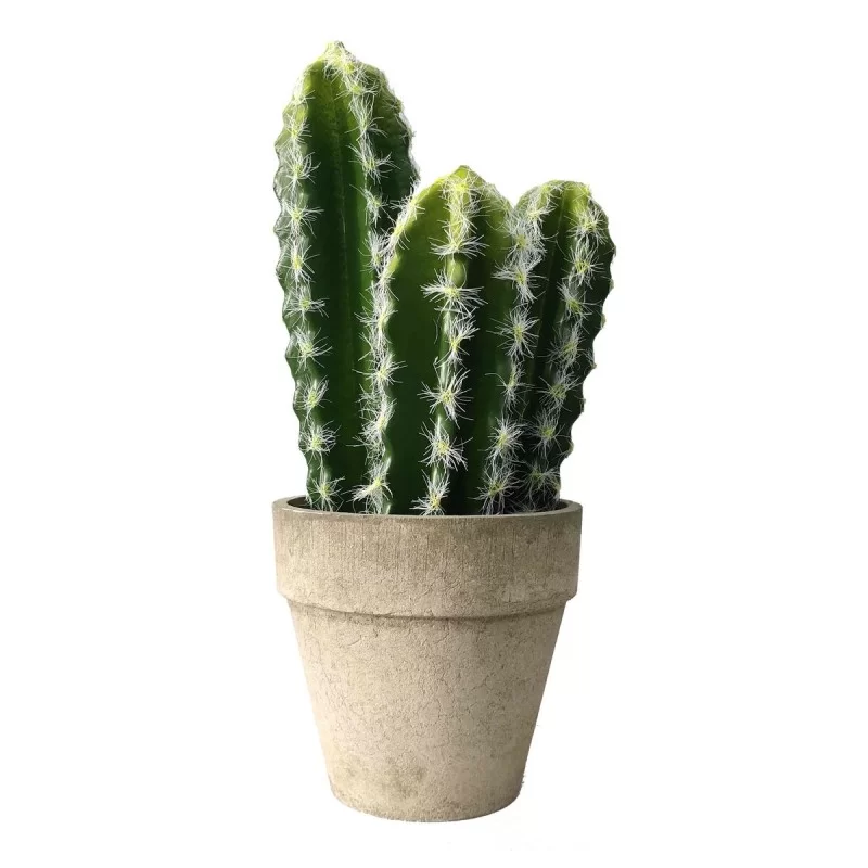 Decorative Plant Versa Plastic (10,5 x 25,5 cm)