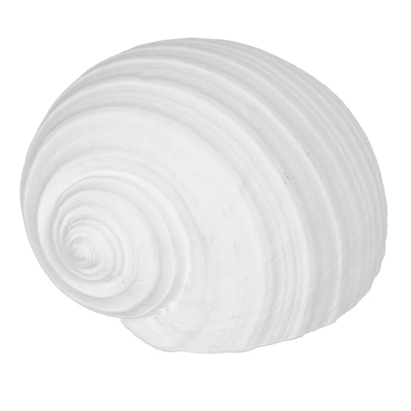 Decorative Figure White Snail 15 x 11 x 9 cm