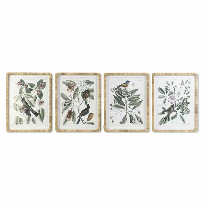 Painting DKD Home Decor 50 x 2,5 x 65 cm Shabby Chic Botanical plants (4 Pieces)