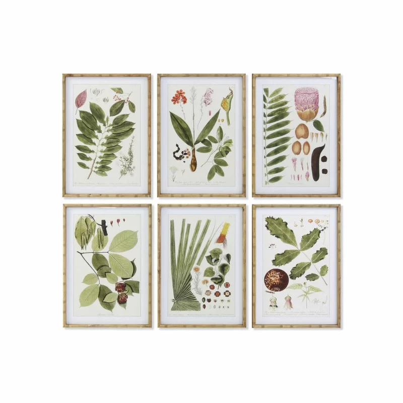 Painting DKD Home Decor 50 x 2,8 x 70 cm Modern Botanical plants (6 Pieces)