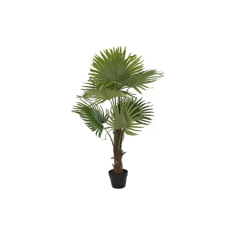 Decorative Plant DKD Home Decor Green PE Palm tree (50 x 50 x 120 cm)