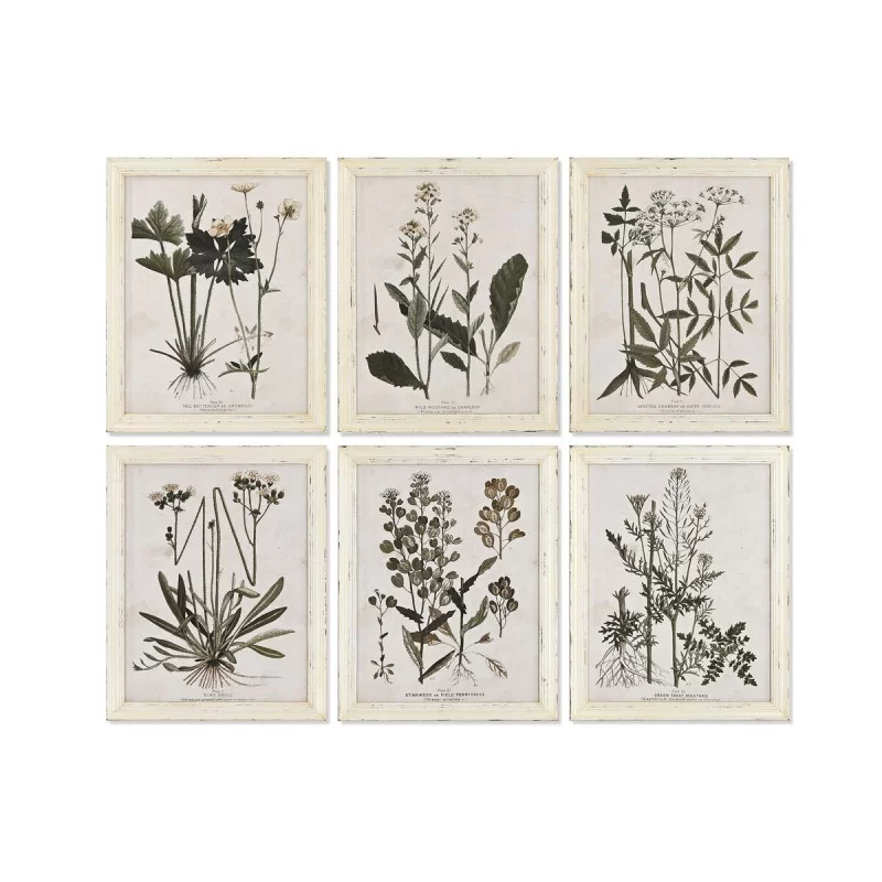 Painting Home ESPRIT Shabby Chic Botanical plants 40 x 1,5 x 50 cm (6 Units)