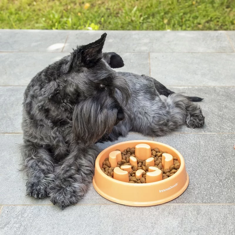 Slow Eating Food Bowl for Pets Slowfi InnovaGoods