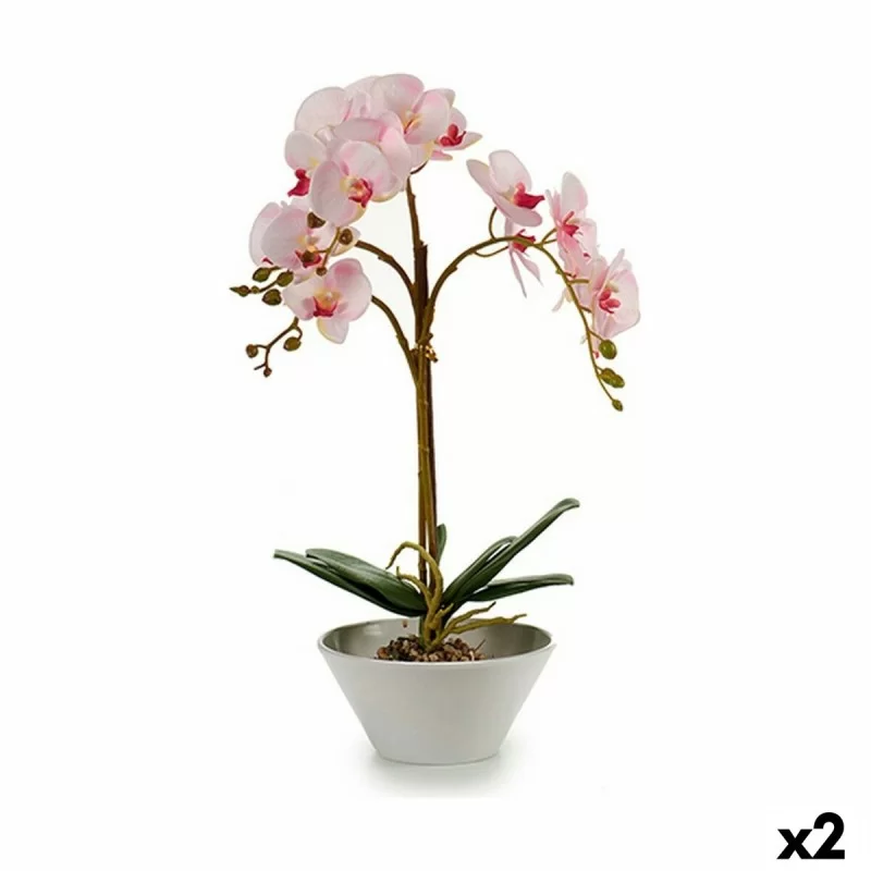 Decorative Plant Orchid Plastic 20 x 60 x 28 cm (2 Units)